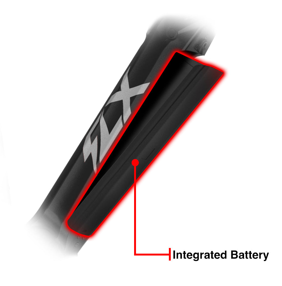 Integrated Lithium Battery
